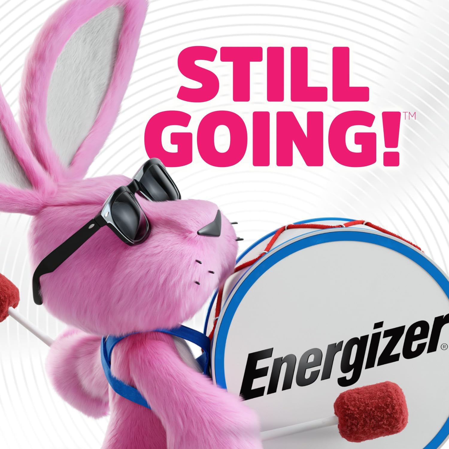 12 AAA Energizer Rechargeable Batteries